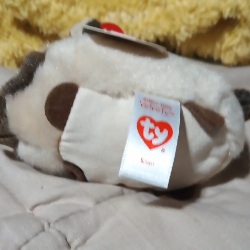 Ty - Plush Siamese Cat Toy - White and Brown- Teeny Tys